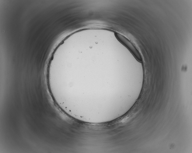 X0000116261488201001110943