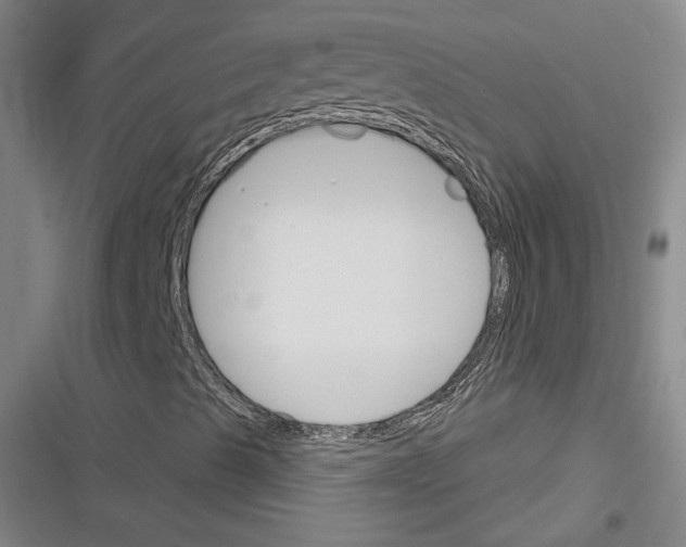 X0000116261489201001110942