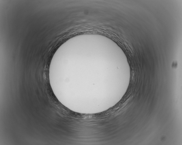 X0000116261490201001110942