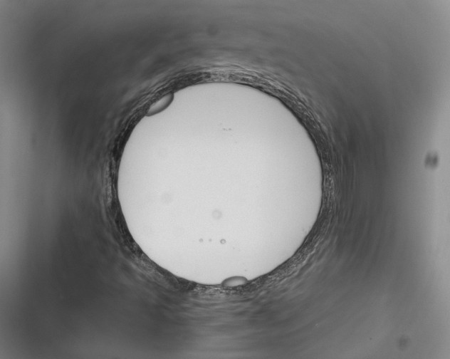 X0000116261493201001110942
