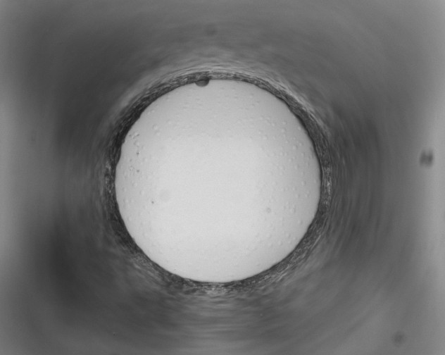 X0000116261495201001110942