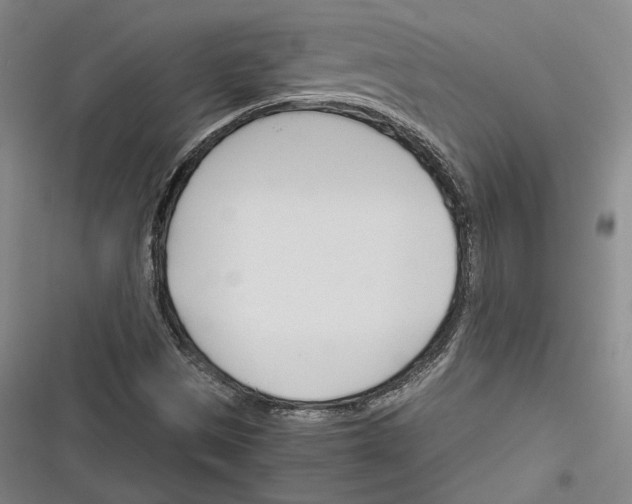 X0000116261497201001110942