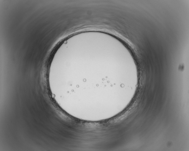X0000116261498201001110942