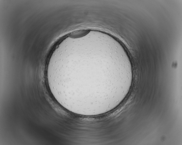X0000116261499201001110942