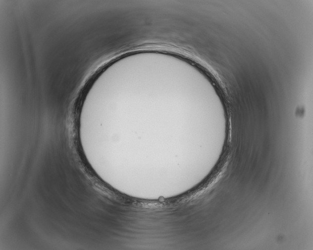 X0000116261501201001110942