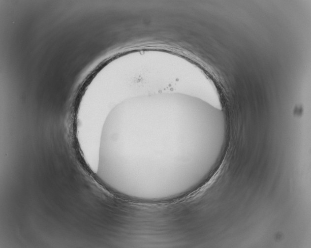 X0000116261502201001110942