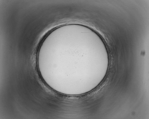 X0000116261503201001110942