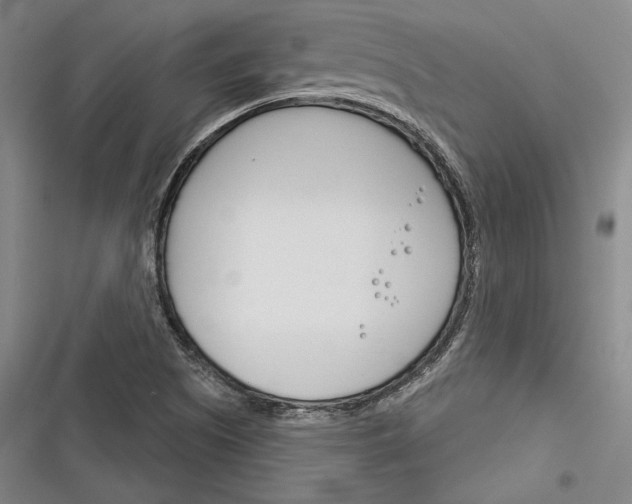 X0000116261505201001110942