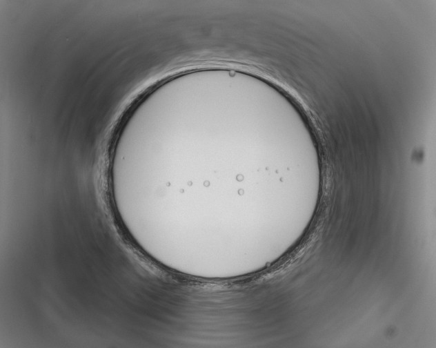 X0000116261507201001110942