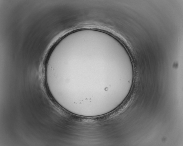 X0000116261509201001110942