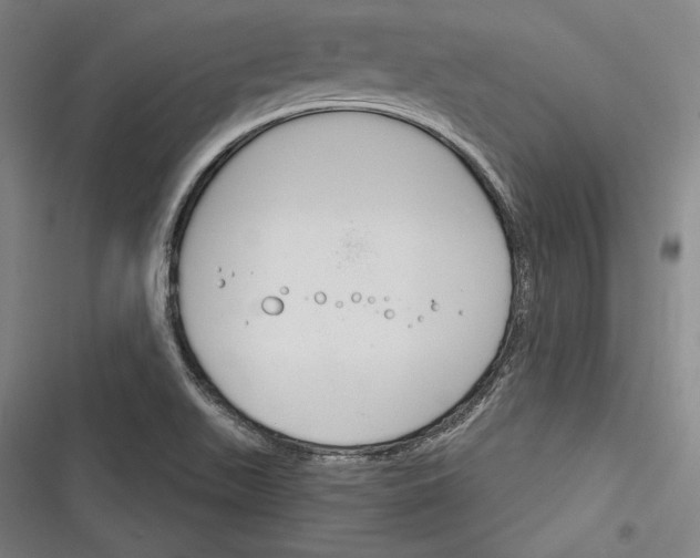 X0000116261511201001110943
