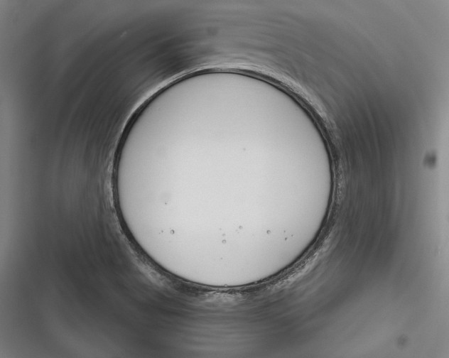 X0000116261513201001110943