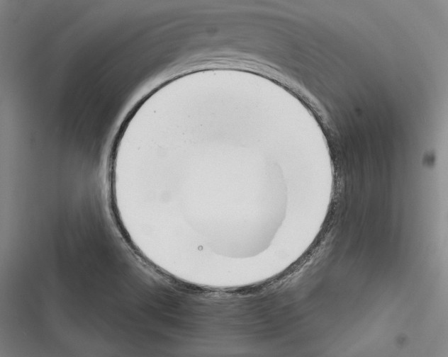 X0000116261514201001110943