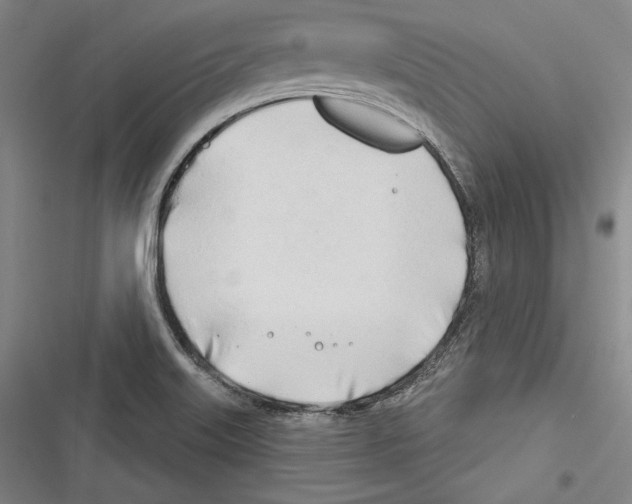 X0000116261515201001110943