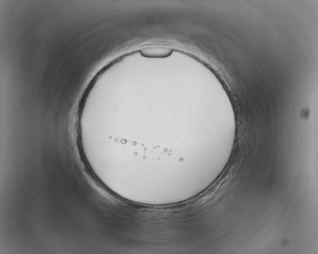 X0000116261519201001110943