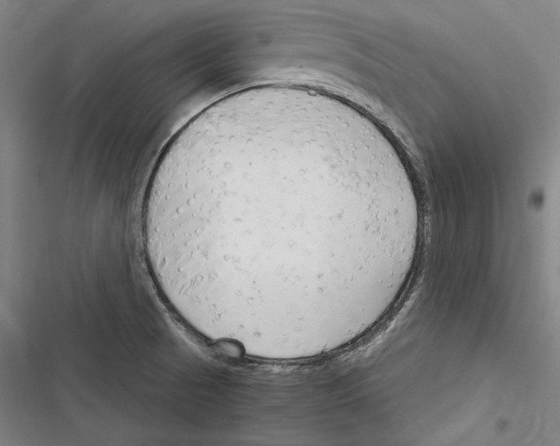 X0000116261521201001110943