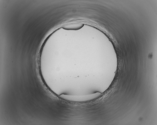 X0000116261522201001110943