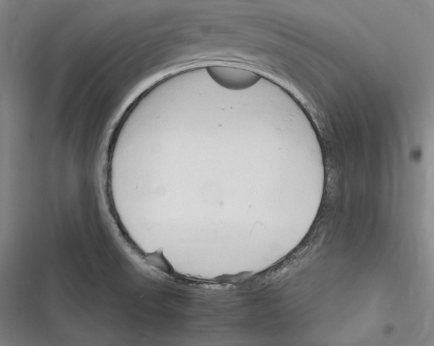 X0000116261523201001110943