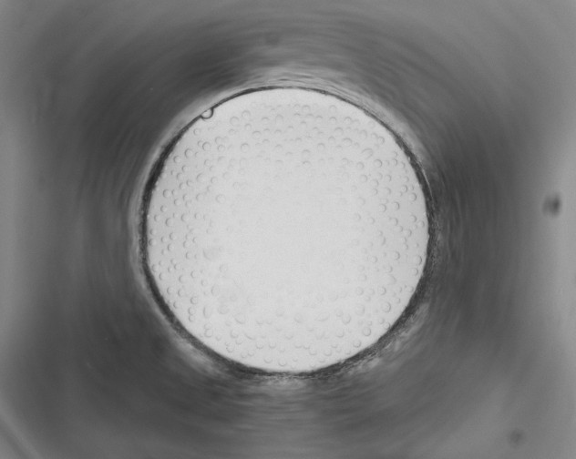 X0000116261525201001110943