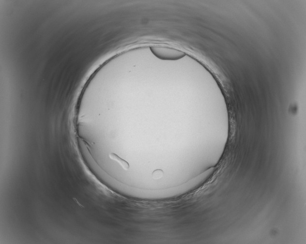 X0000116261527201001110943