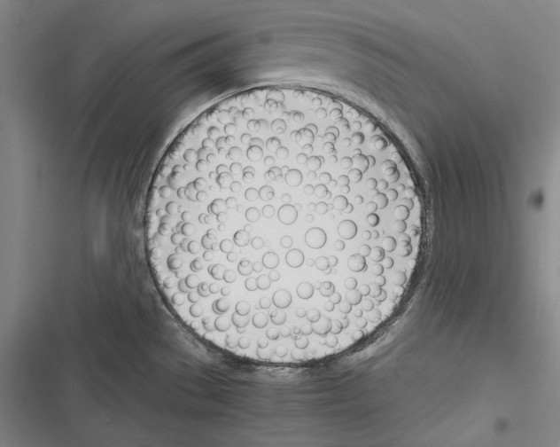 X0000116261529201001110943