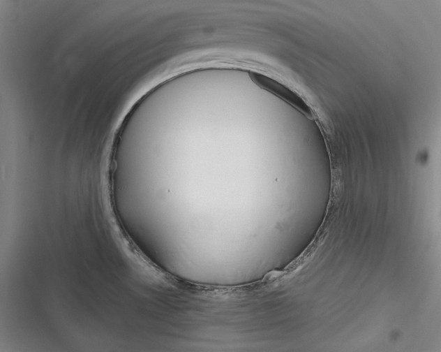 X0000116261530201001110943