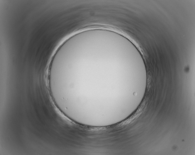 X0000116261535201001110943