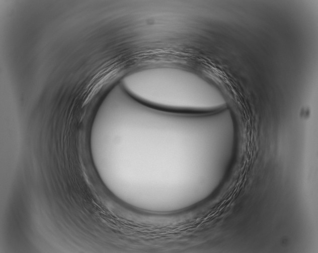 X0000116270001200911301027