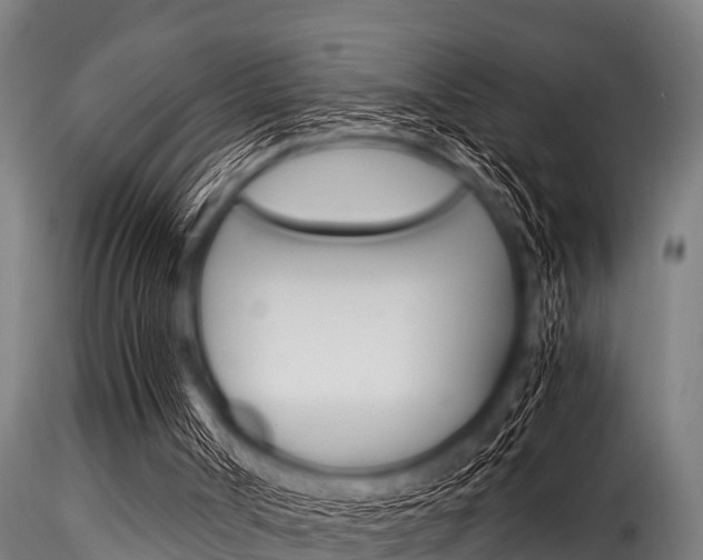 X0000116270002200911301027