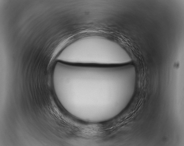 X0000116270004200911301027