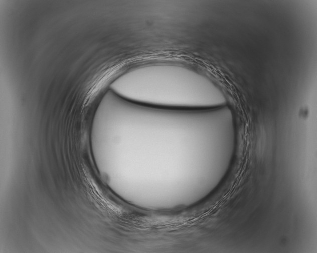 X0000116270005200911301027