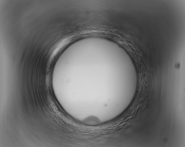 X0000116270006200911301027