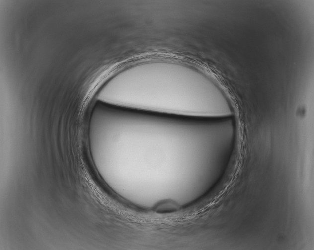 X0000116270007200911301027
