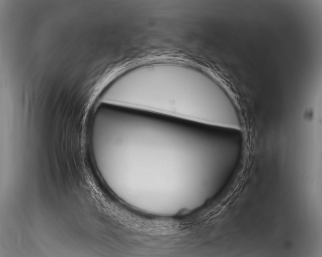 X0000116270008200911301027