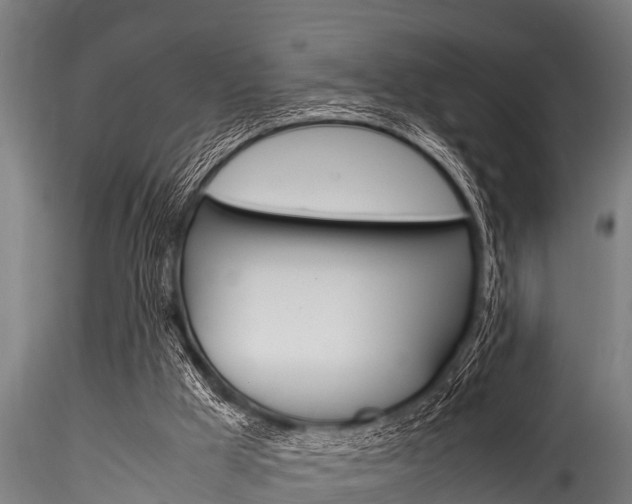 X0000116270009200911301027