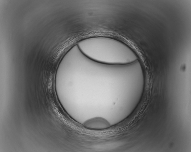 X0000116270010200911301027
