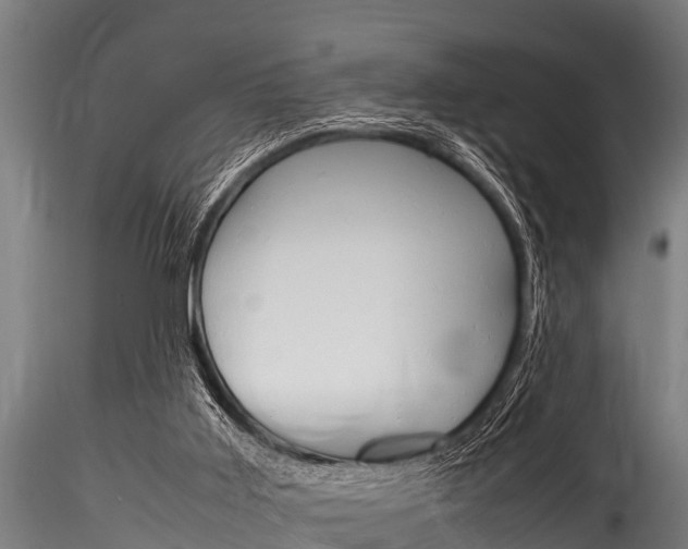 X0000116270011200911301027