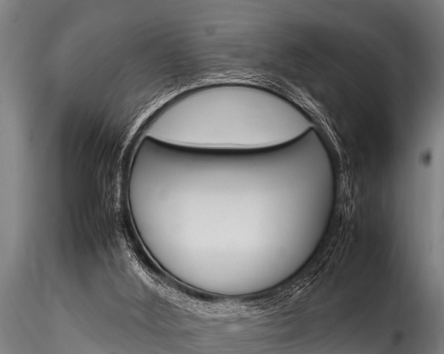 X0000116270012200911301027