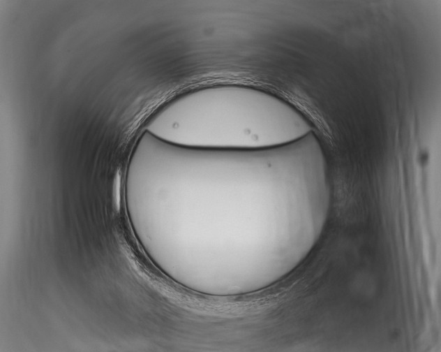X0000116270014200911301027
