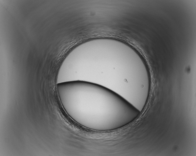X0000116270017200911301027