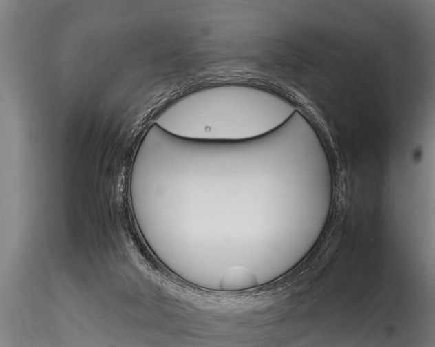 X0000116270018200911301027