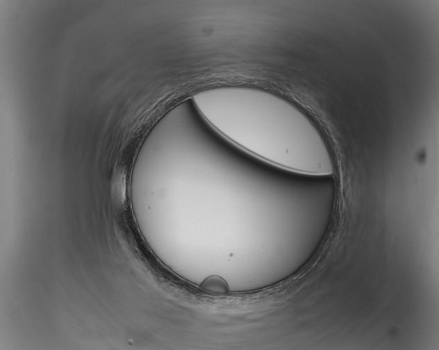 X0000116270021200911301027