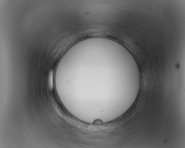 X0000116270022200911301027