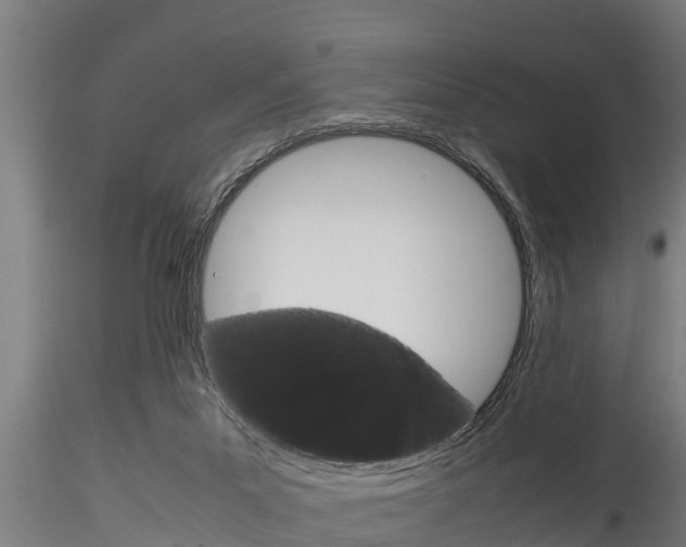 X0000116270023200911301027