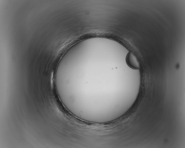 X0000116270024200911301027