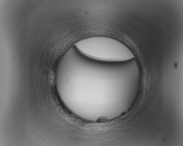 X0000116270025200911301027