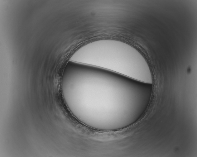 X0000116270029200911301027