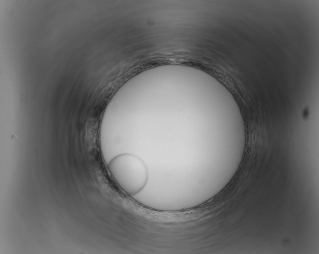 X0000116270030200911301027