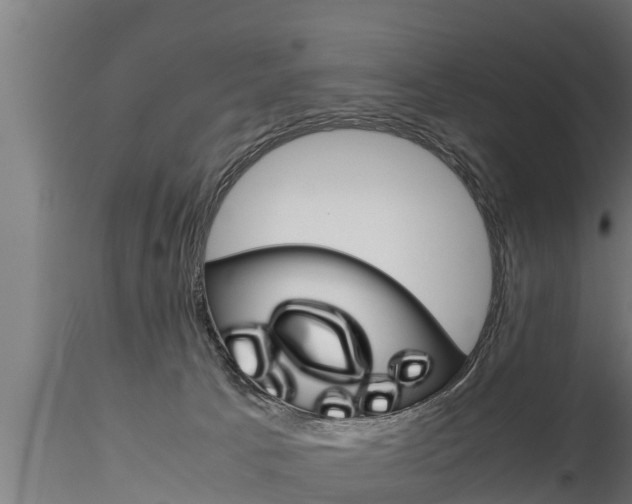 X0000116270033200911301027