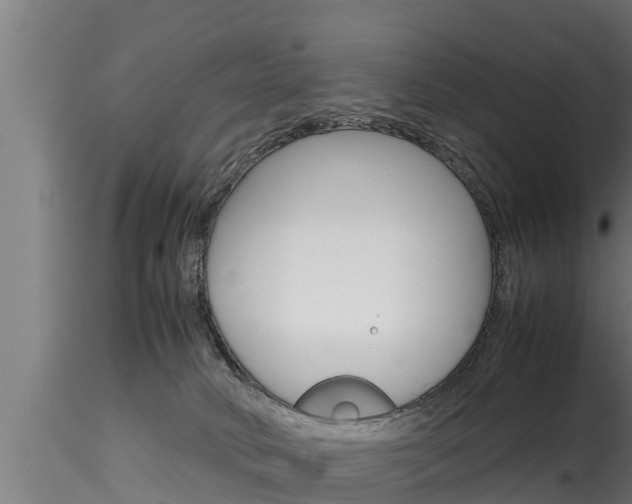 X0000116270034200911301027